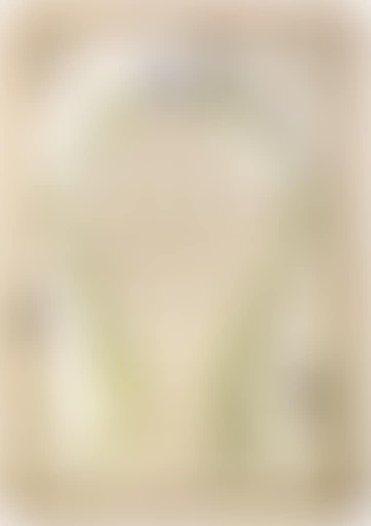 Albero Madre (preview)