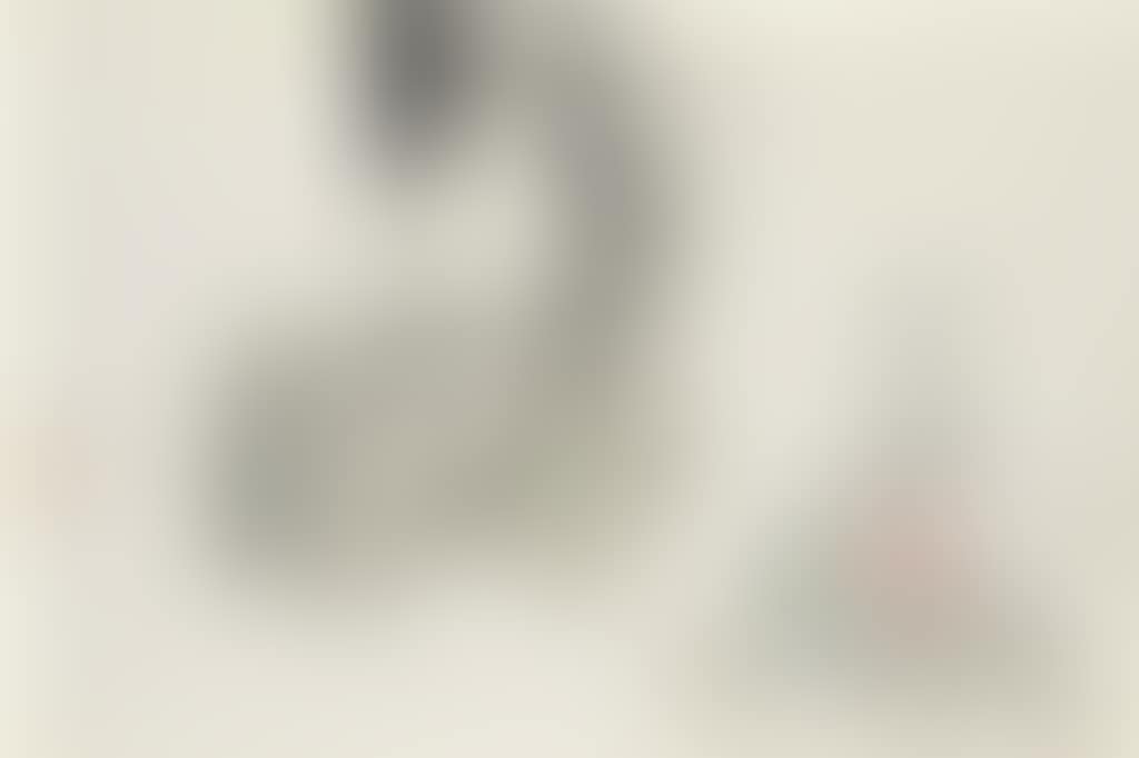 Backer (preview)