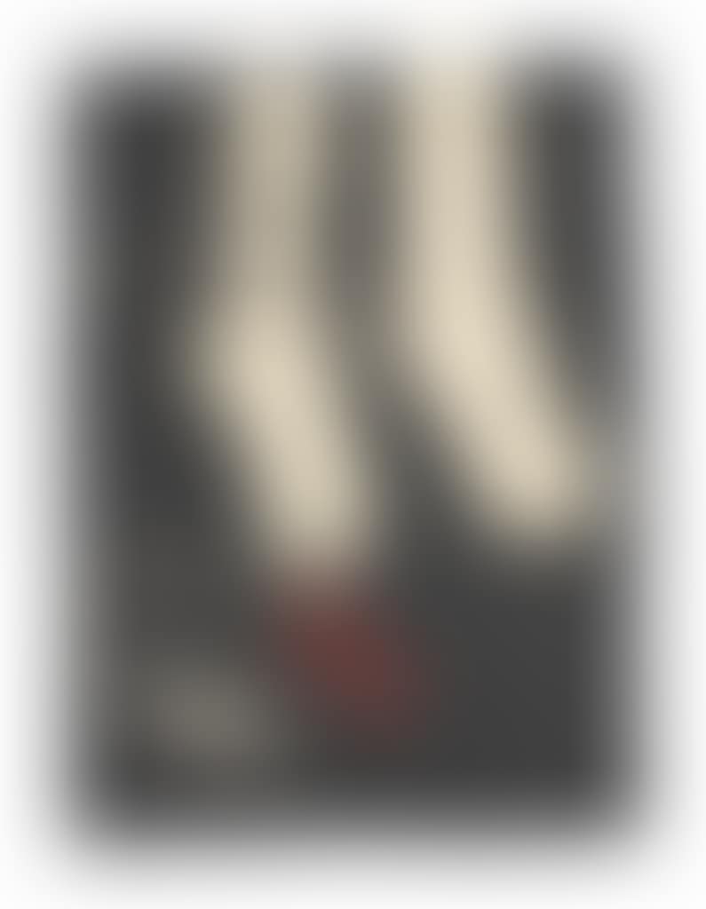 La Llum (preview)