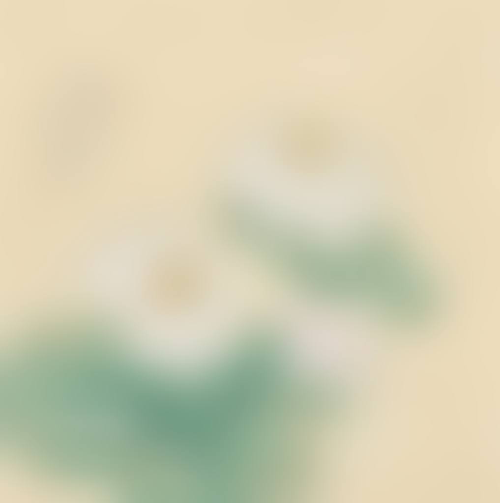 Lotus (preview)