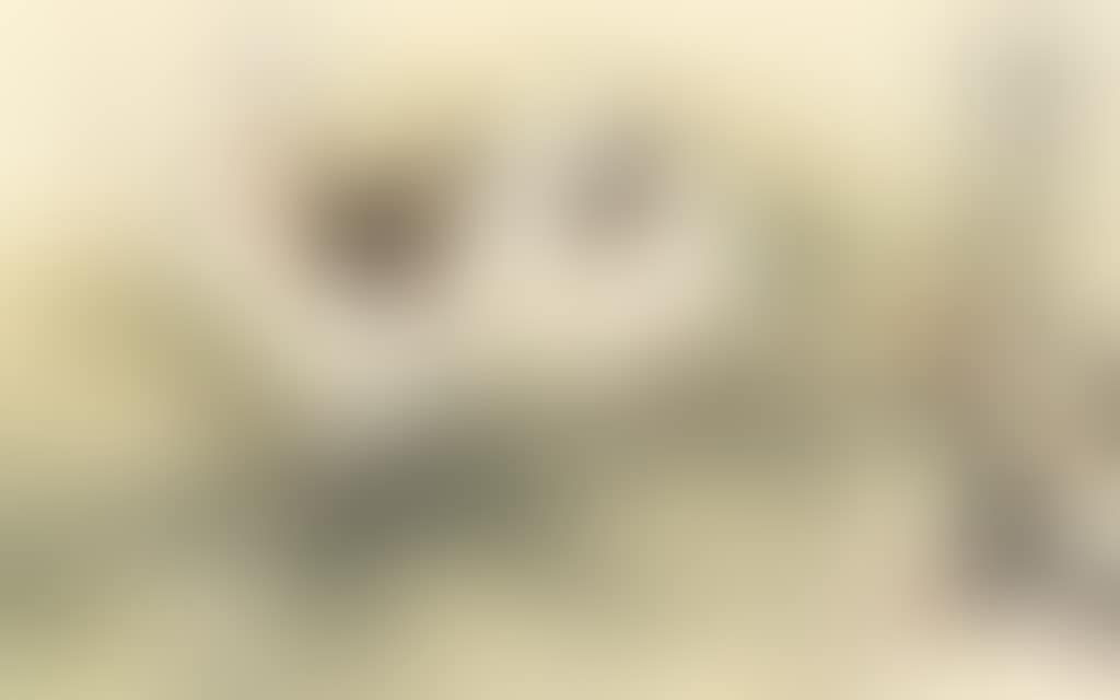 Hare (preview)