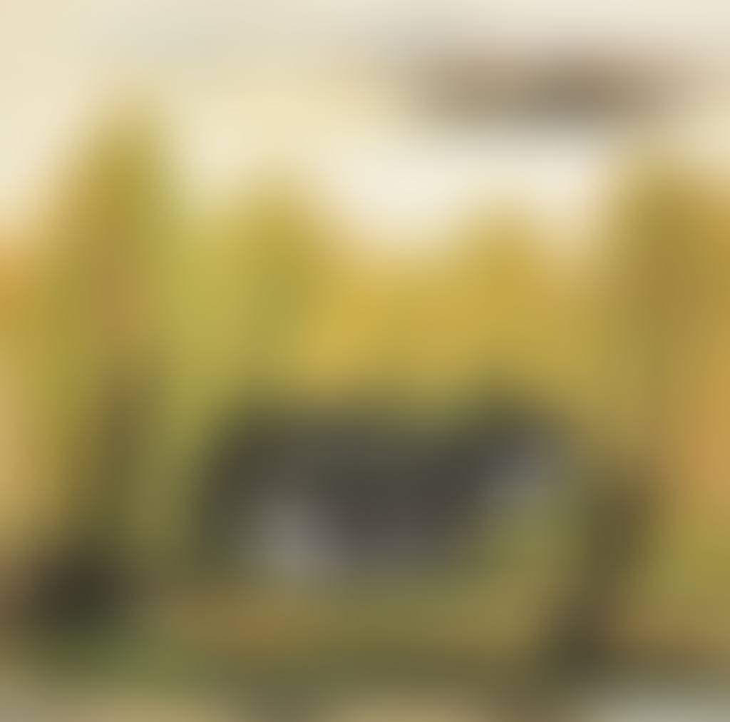 Village By the Lake (preview)