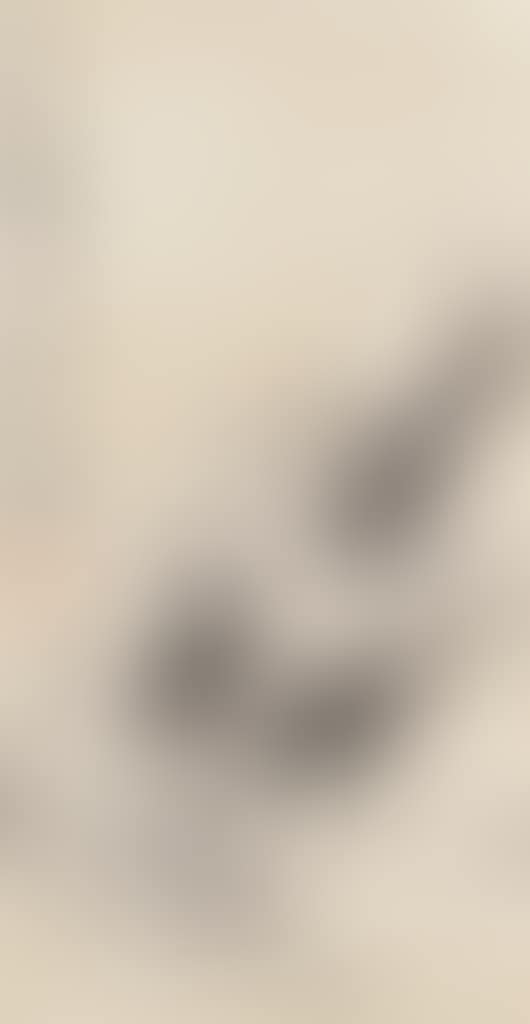 Shrimp (preview)