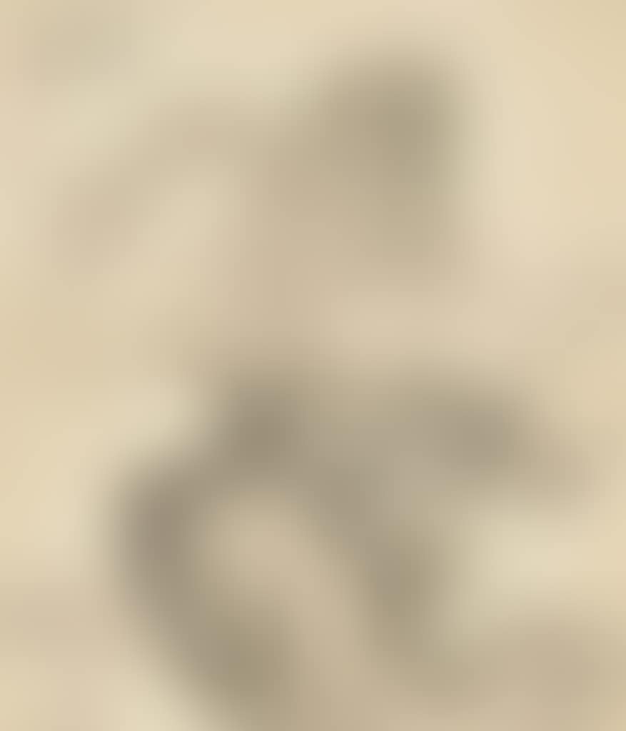 Leisurely Encounter beside a Stream (preview)