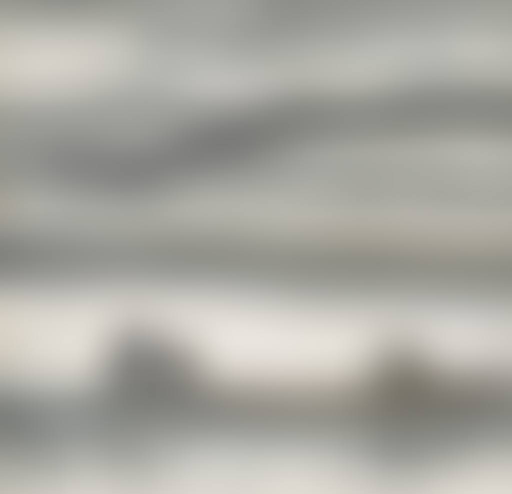 Cormorants on a Boat (preview)