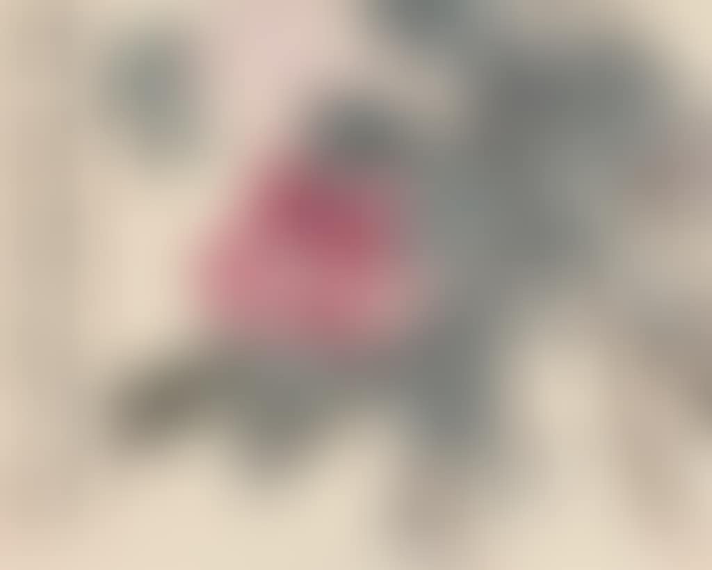 Peony (preview)