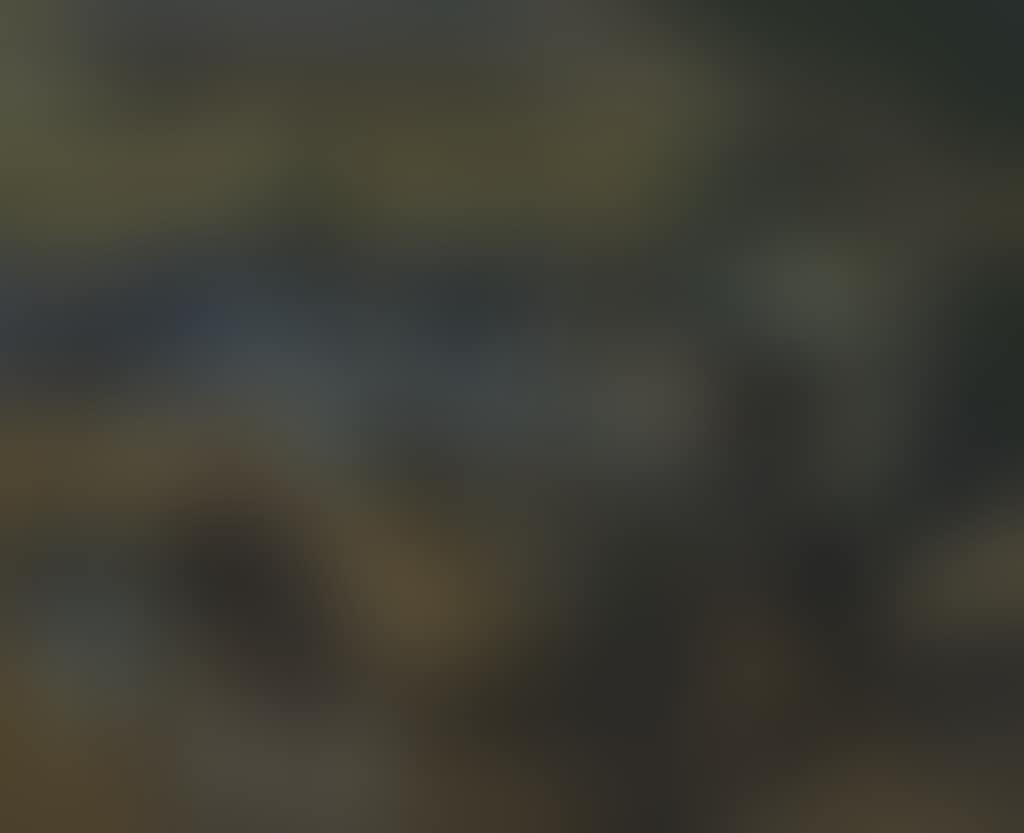 L' Eldorado (preview)