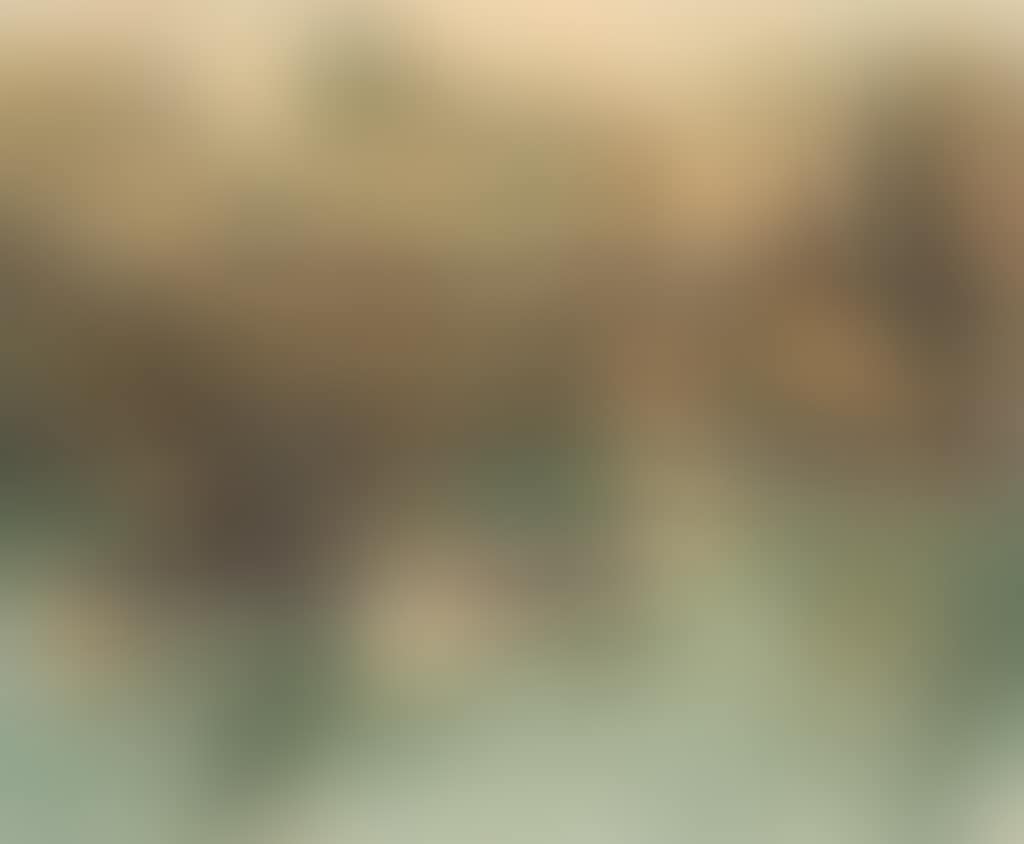 Honfleur (preview)