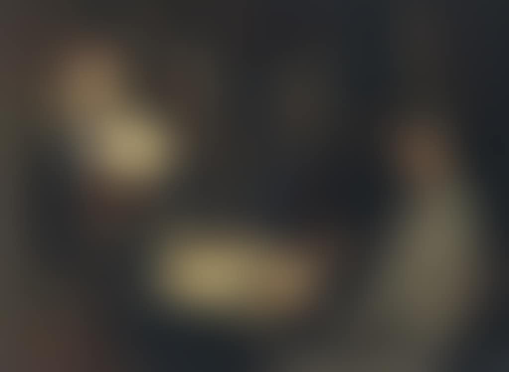 Her last sitting (preview)