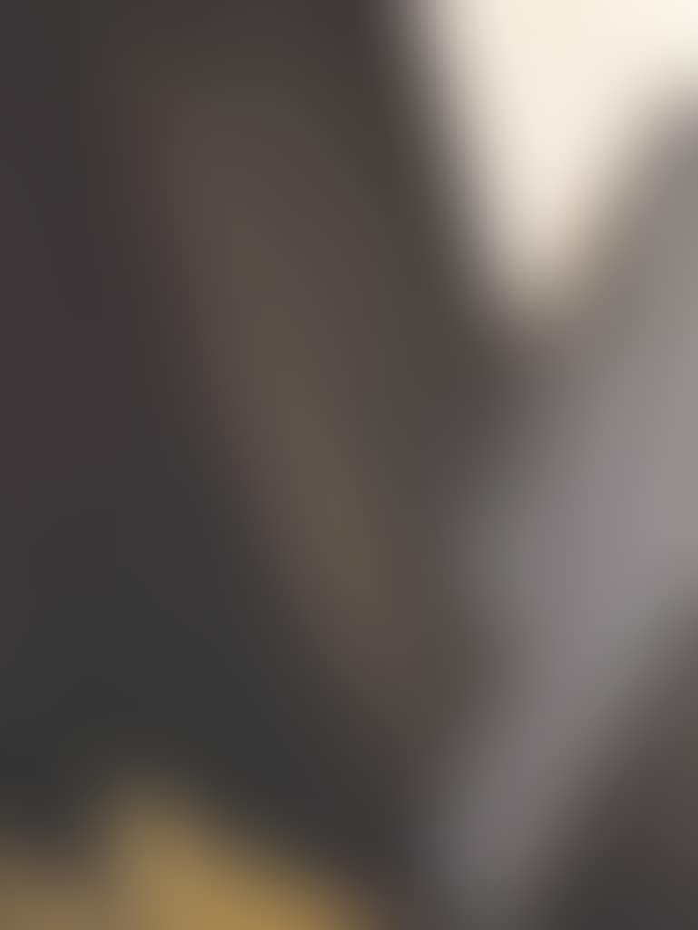 FOR THE SILVER (preview)