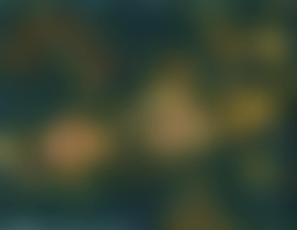 UNTITLED (preview)