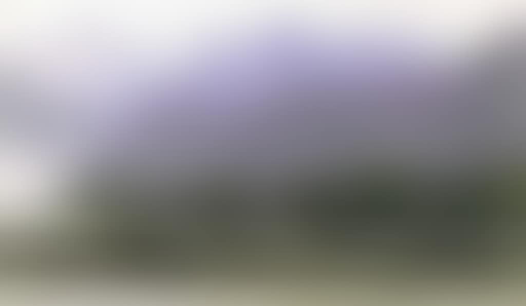 THE VIEW OF CHIHSING MOUNTAIN (preview)