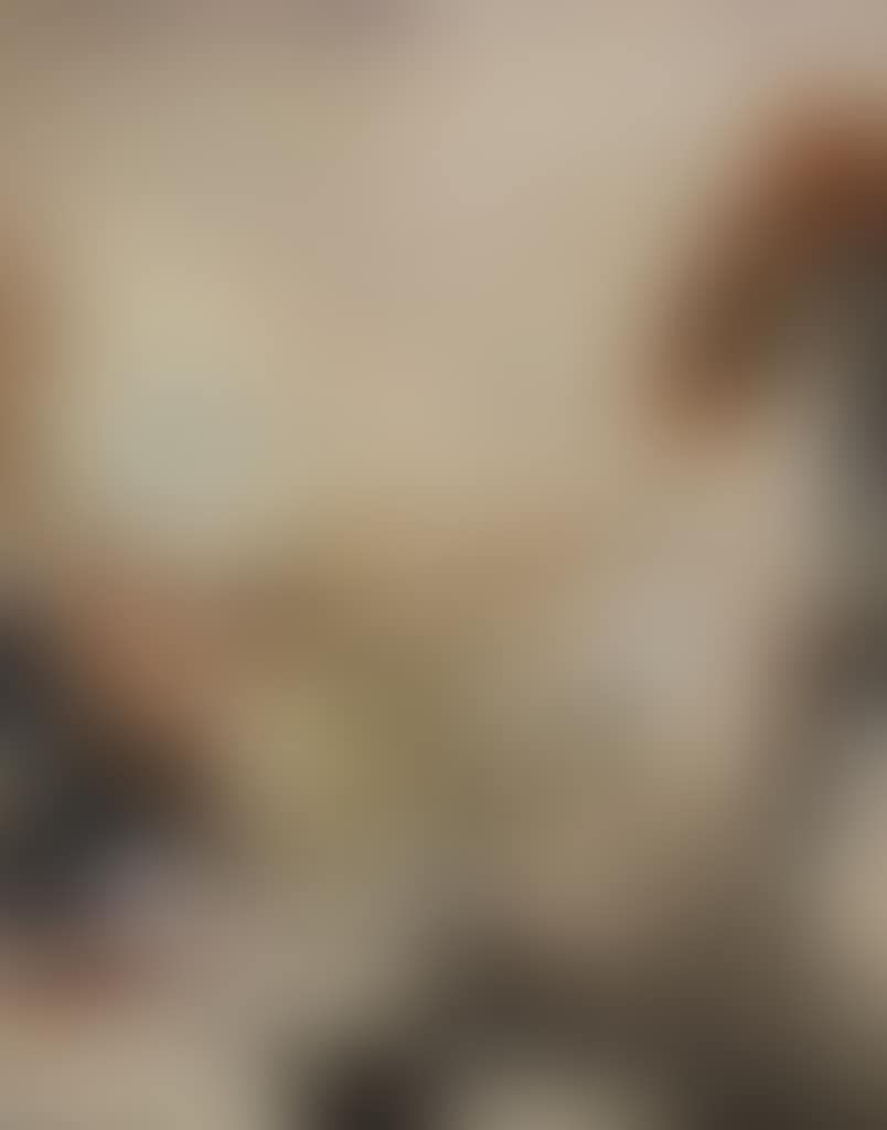 UNTITLED (preview)