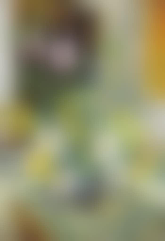 STILL LIFE (preview)