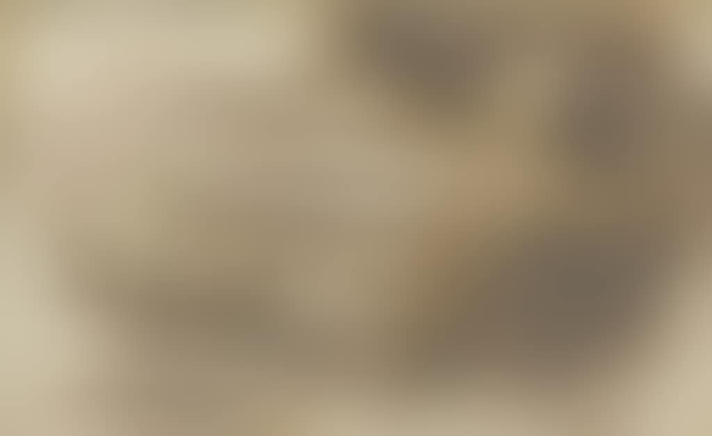 An Italian landscape with trees to the right and towns in the background (preview)