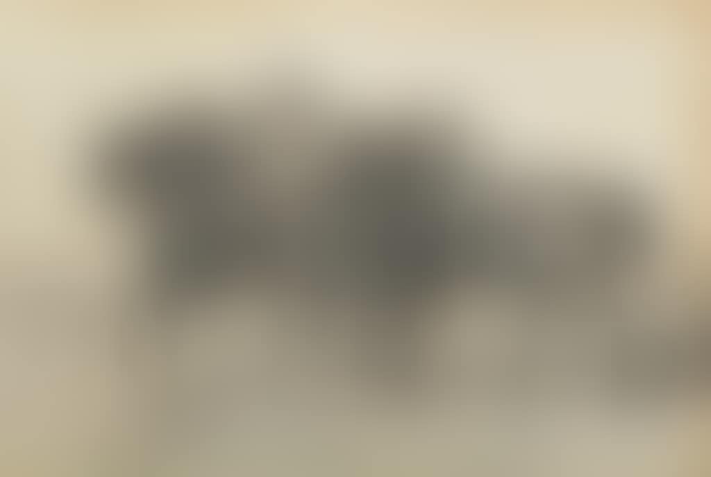 Figures on horseback (preview)