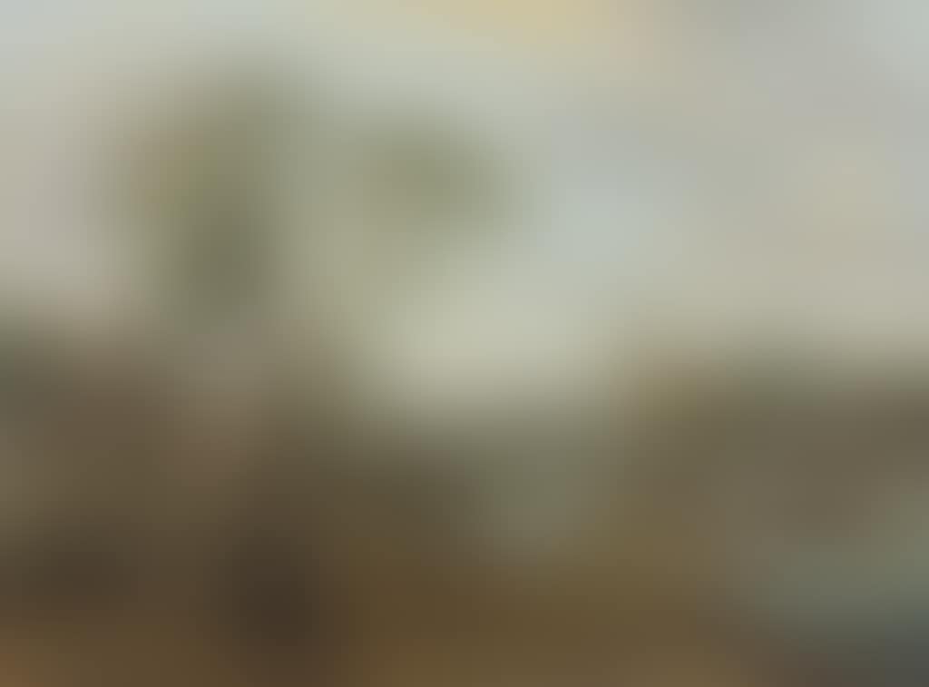 A village river landscape with boats on the water (preview)