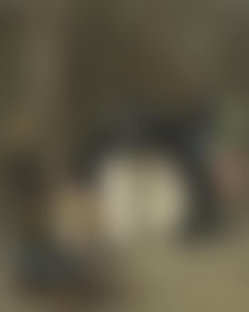 An elegant couple in Carnival costume (preview)