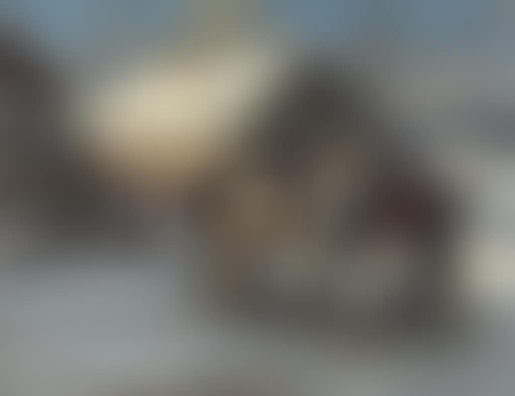 The return home (preview)