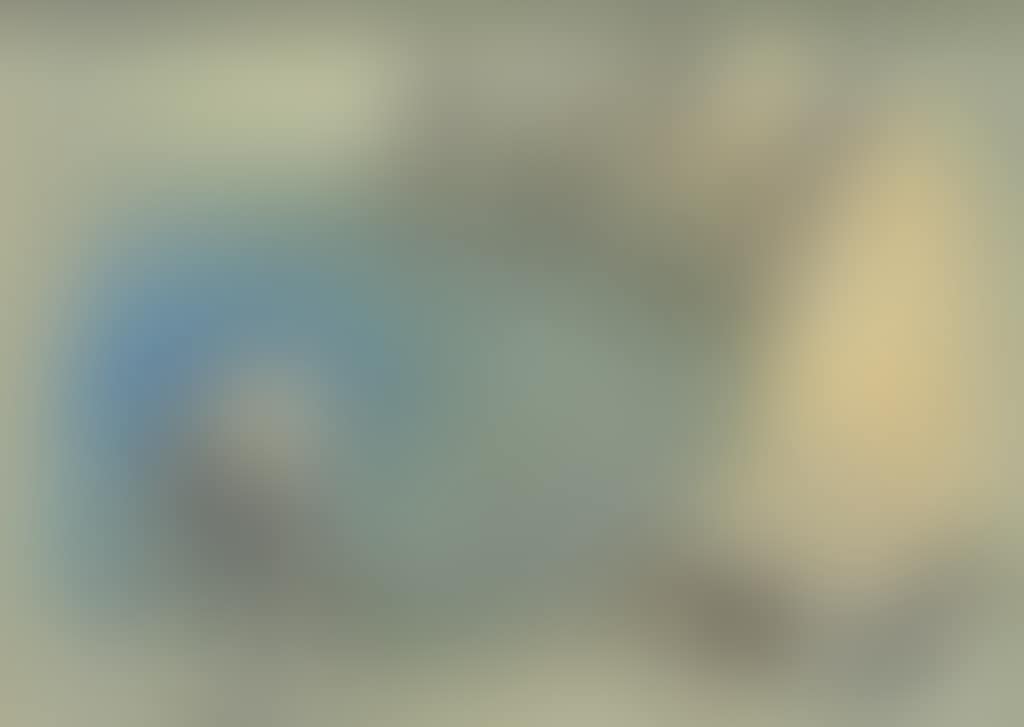 Pêcheurs (preview)