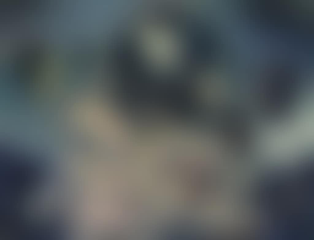 The Concert (preview)