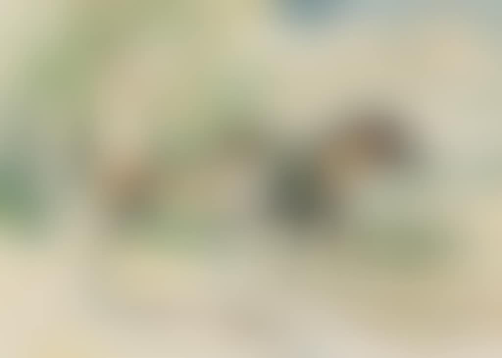 New Forest mare and foal (preview)