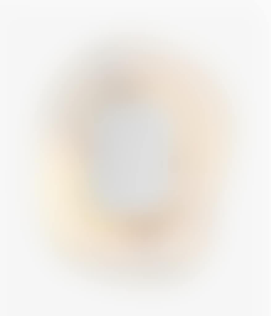 AN ILLUMINATED MIRROR (preview)