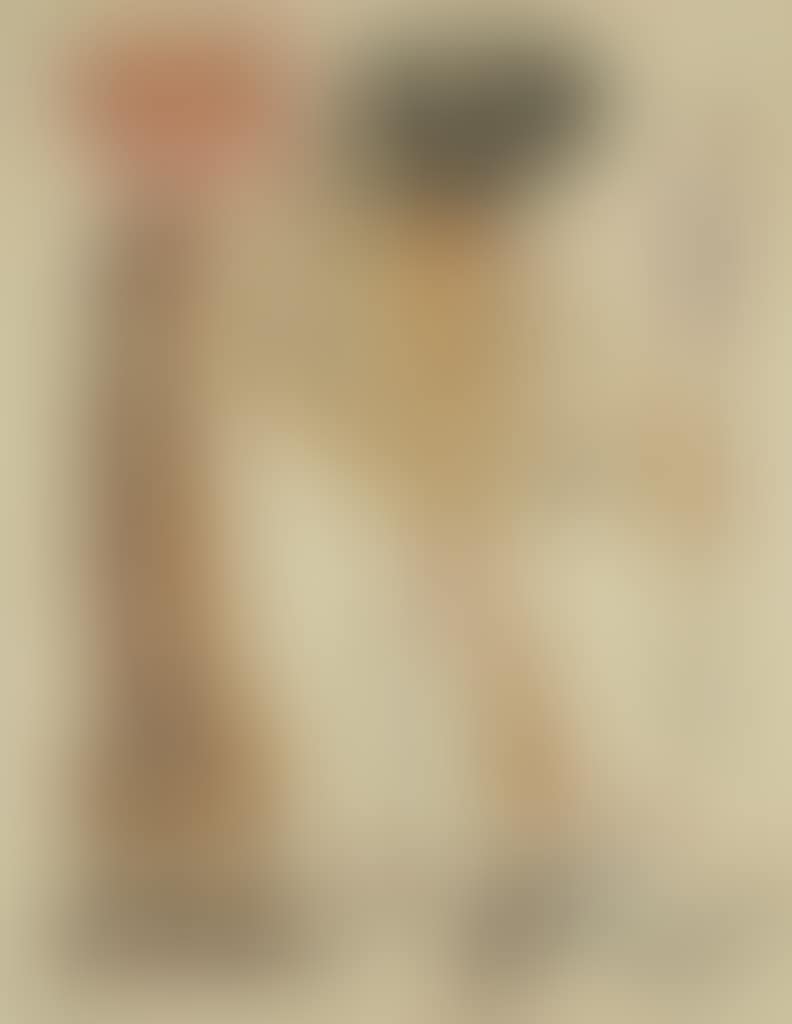 Señorita y Caballero (preview)