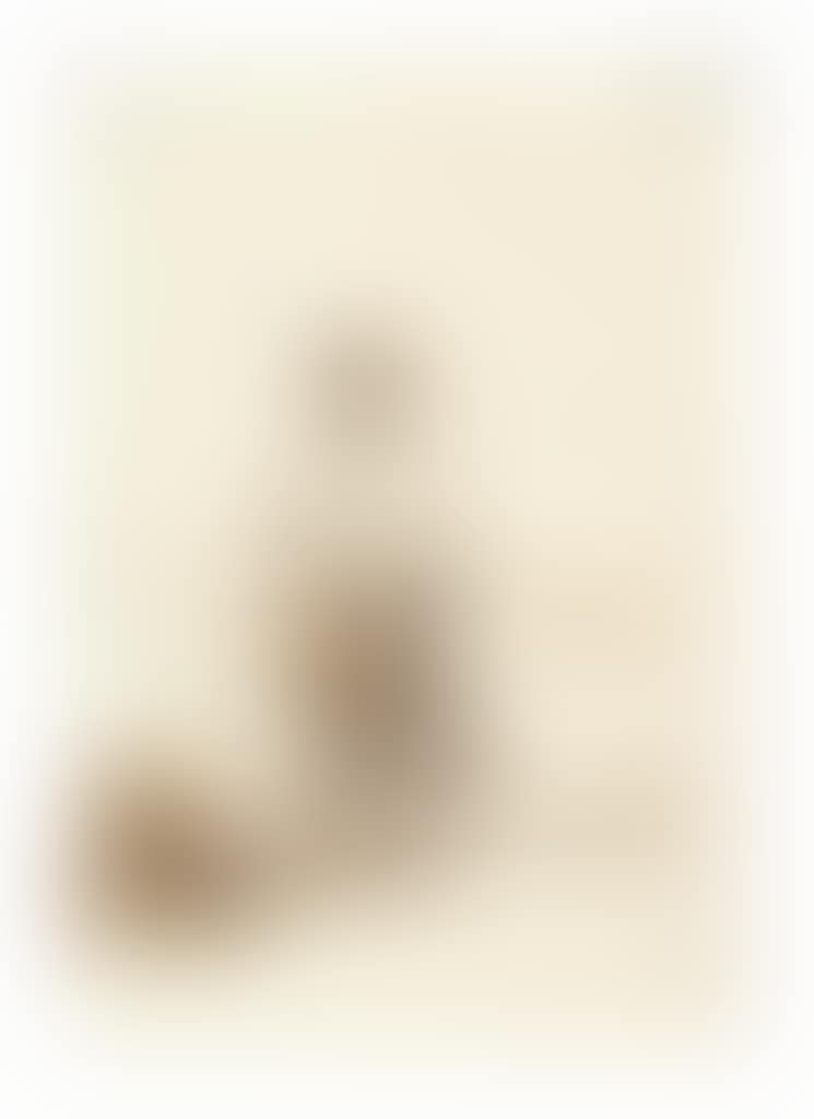 A hunter with his dog in a landscape (preview)