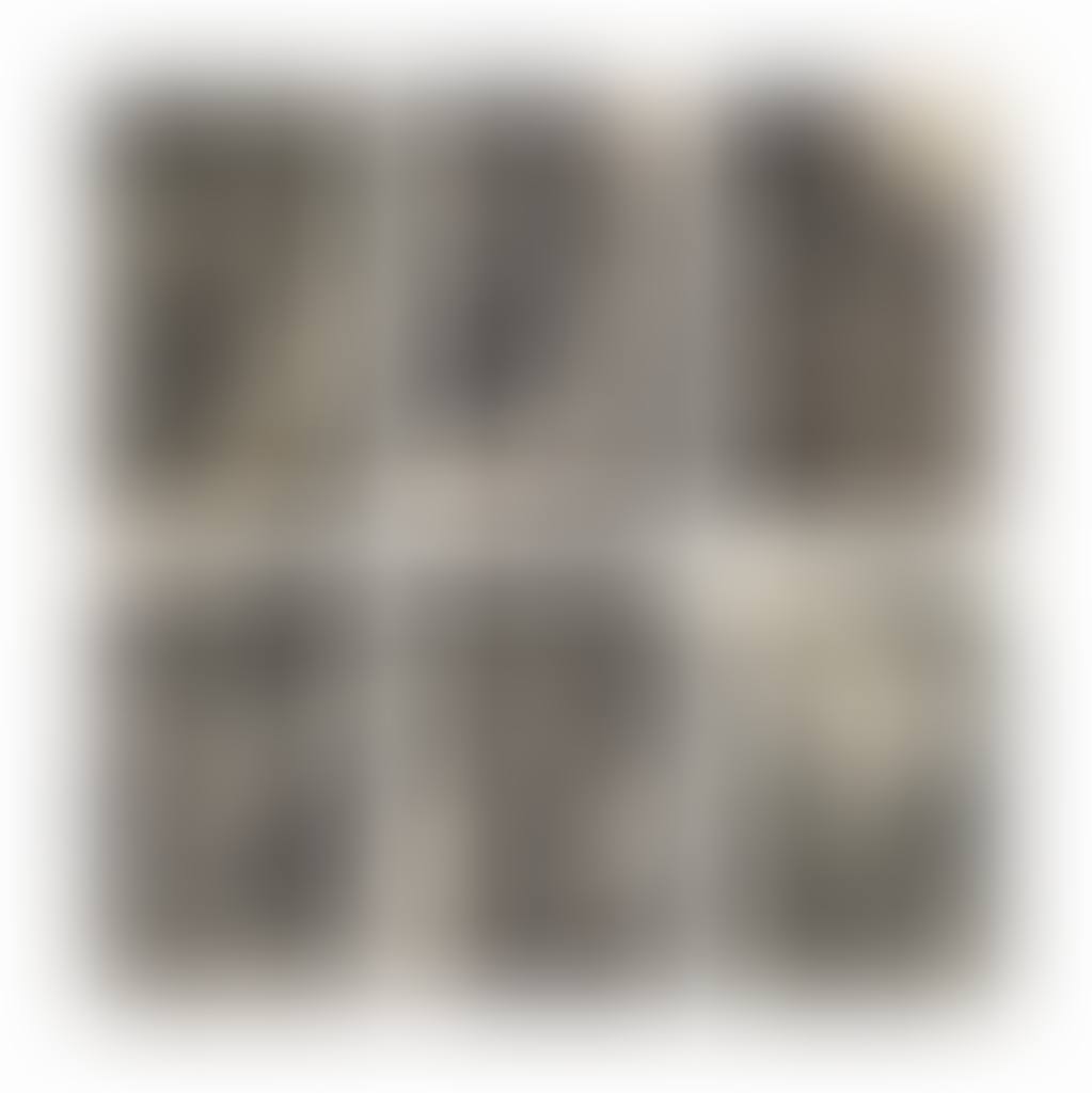 The Engraved Passion (preview)