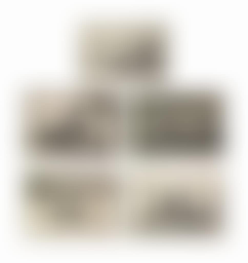 La Tauromaquia (preview)