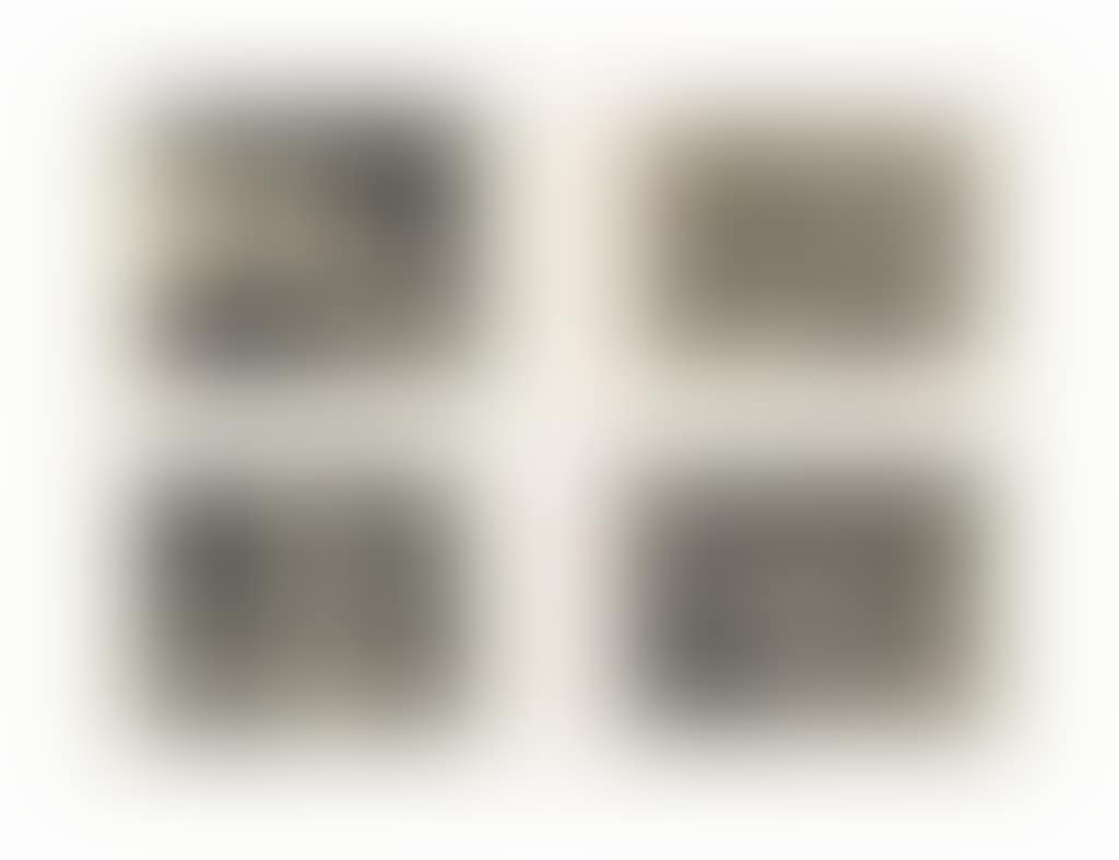 A Collection of Plates from: Los Desastres de la Guerra (preview)