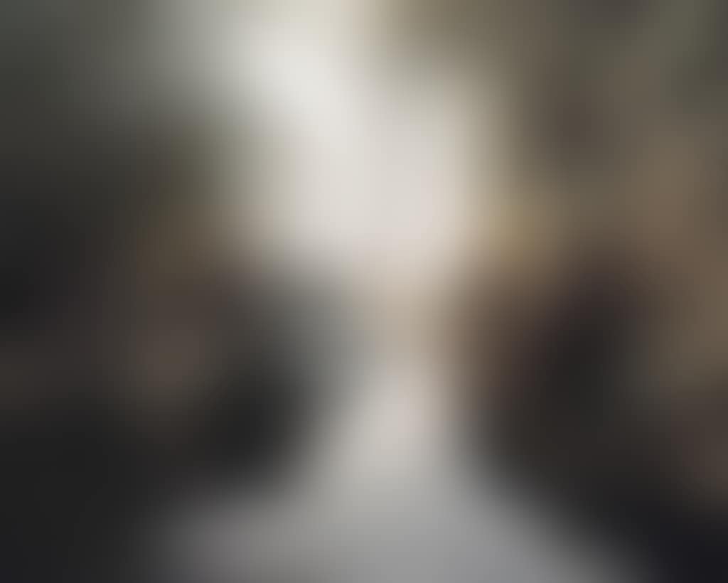 Les Amants (Cascade) (preview)