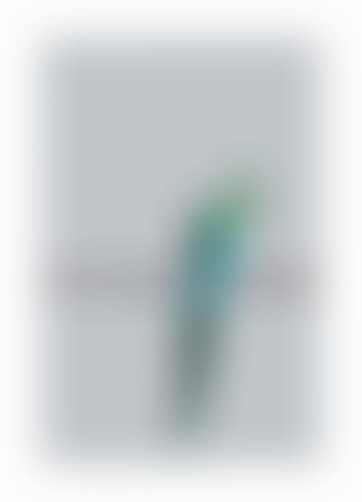 Pappagallo (preview)