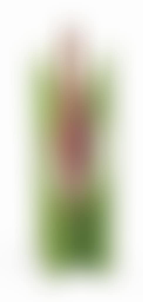 Obelisco (preview)