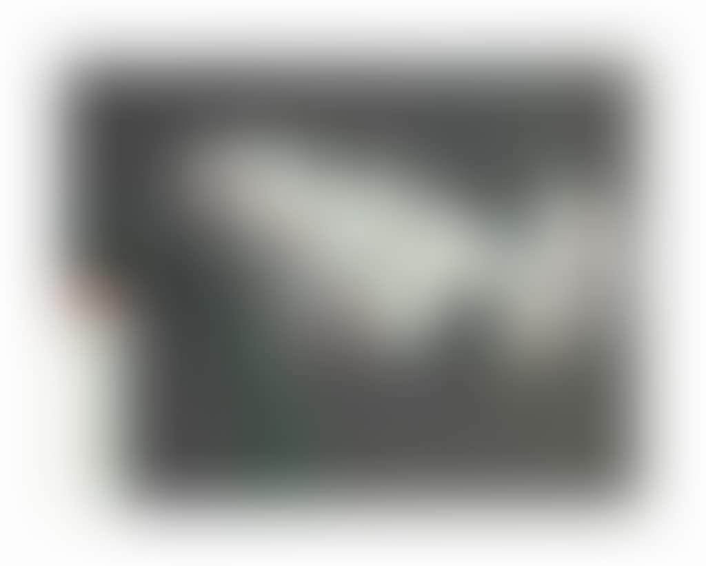 Orchidee II (preview)