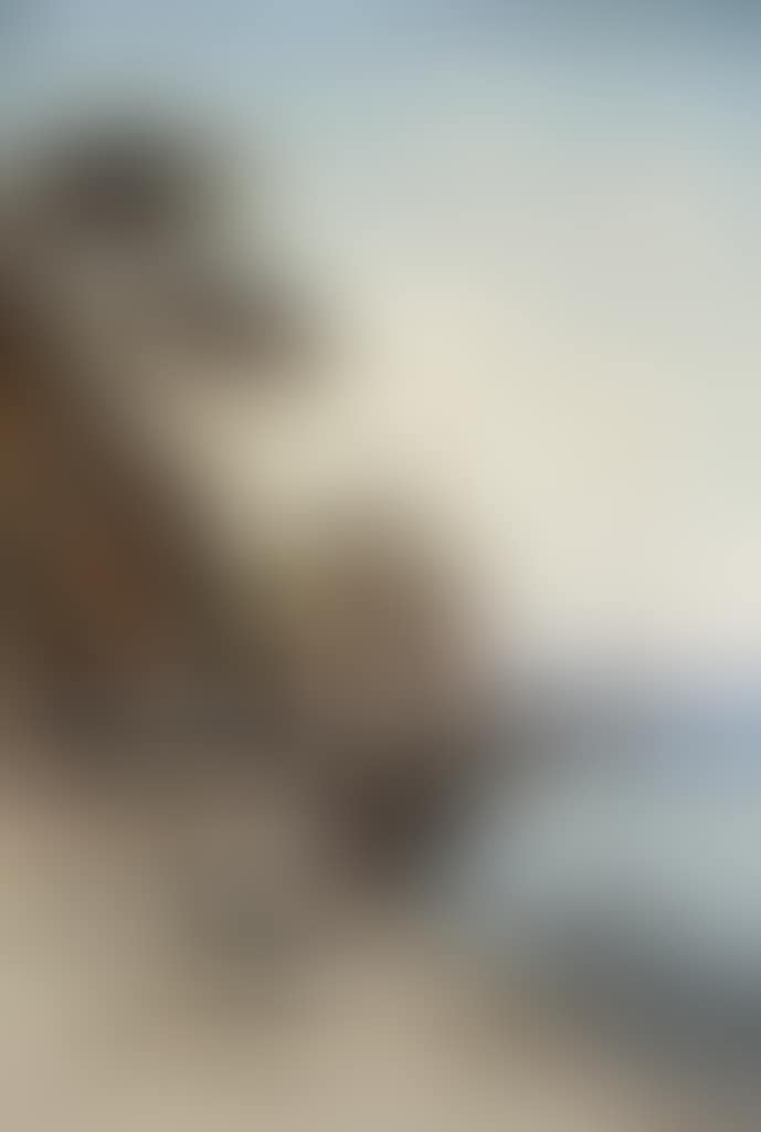 The fruit sellers (preview)