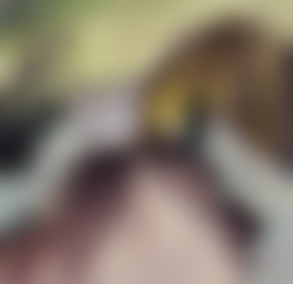 Auf der Brücke (preview)
