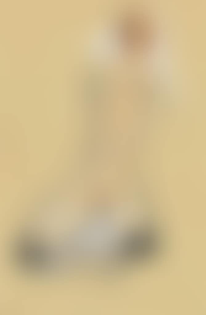 Auf dem Bauch liegender Frauenakt (preview)