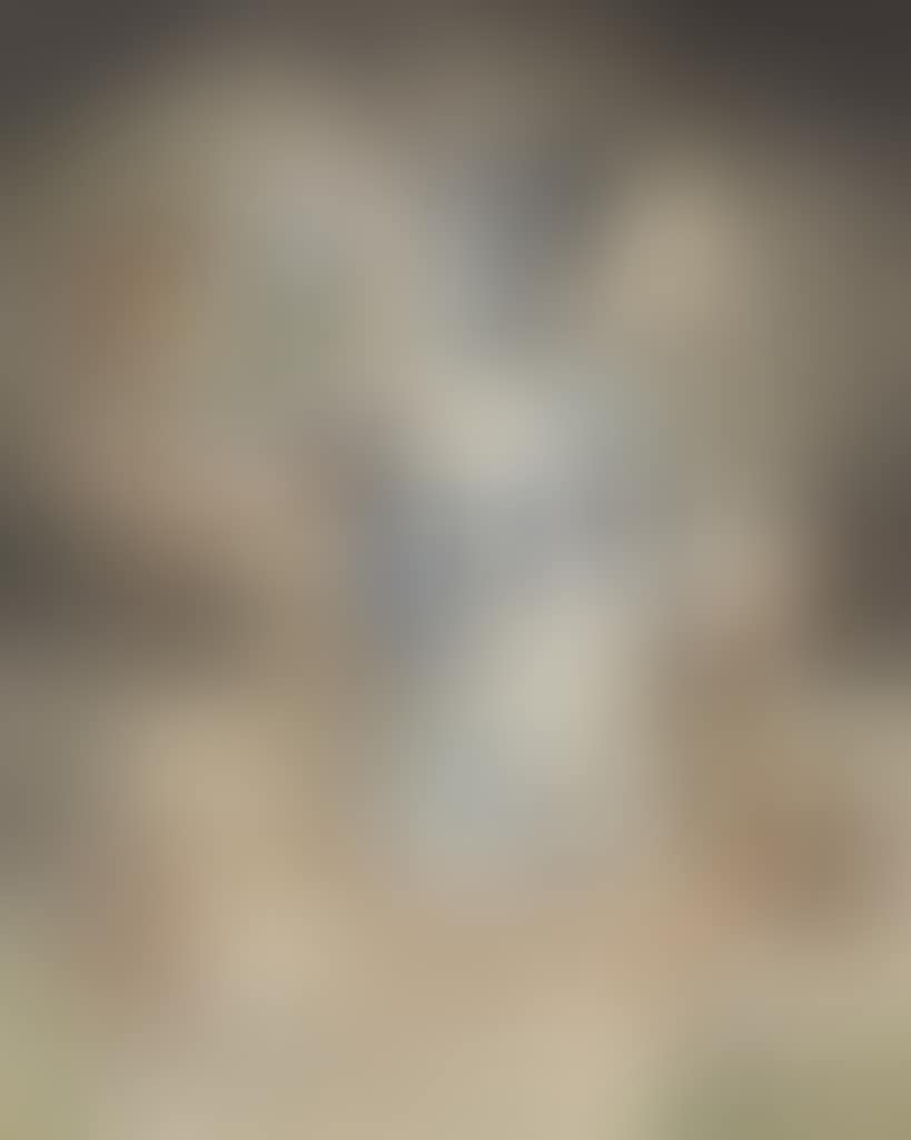 Statices (preview)