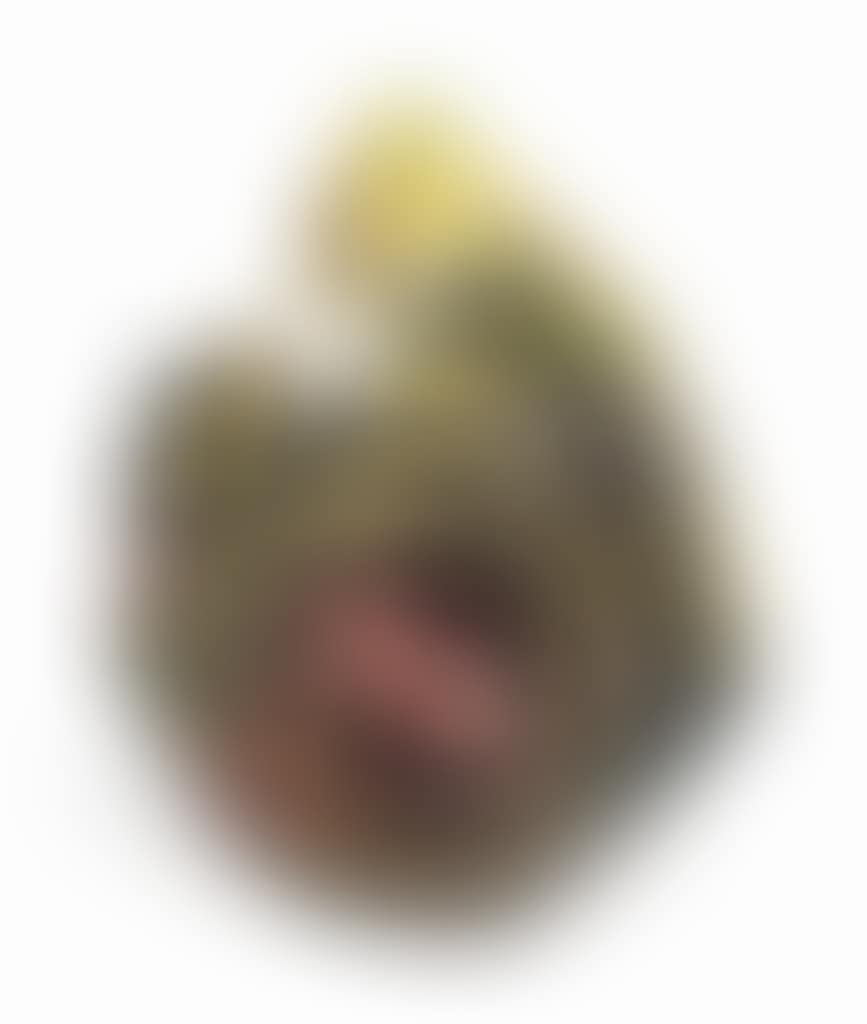 Good Ole One-Eleven (preview)