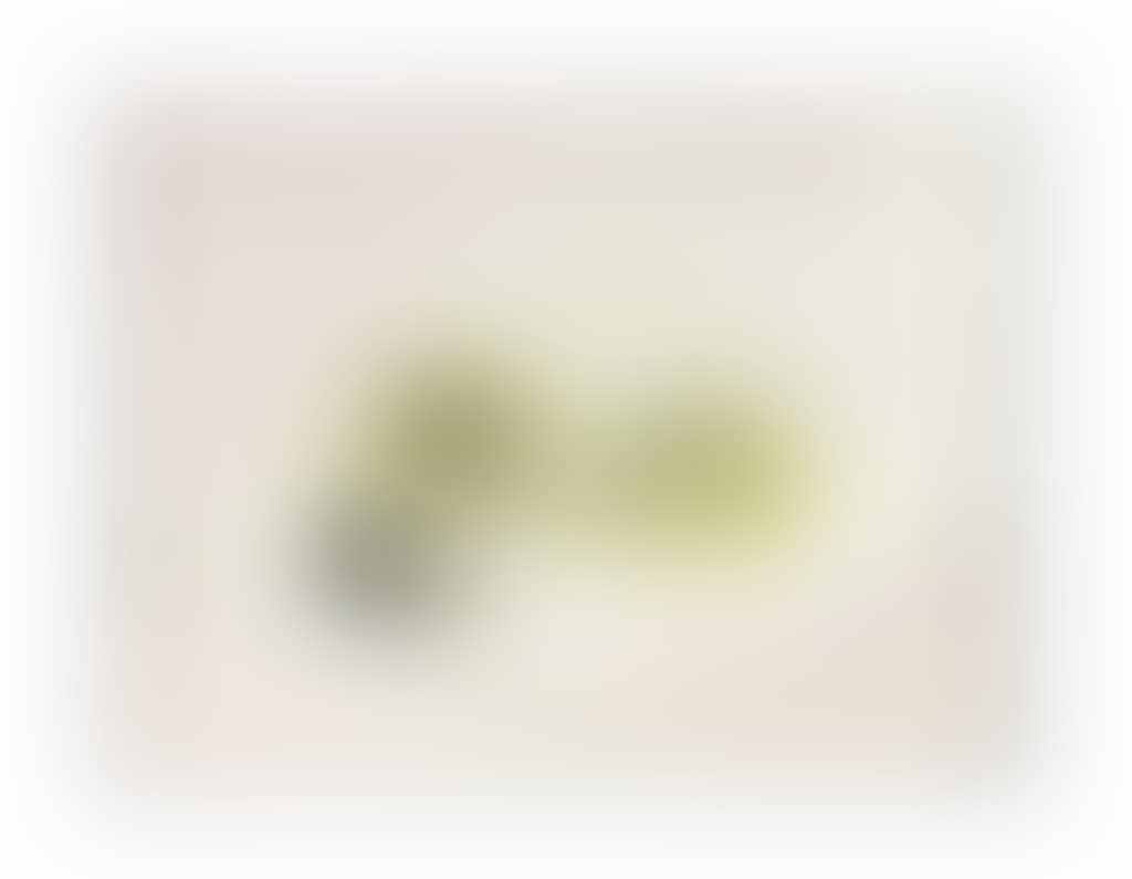 Fruits (preview)