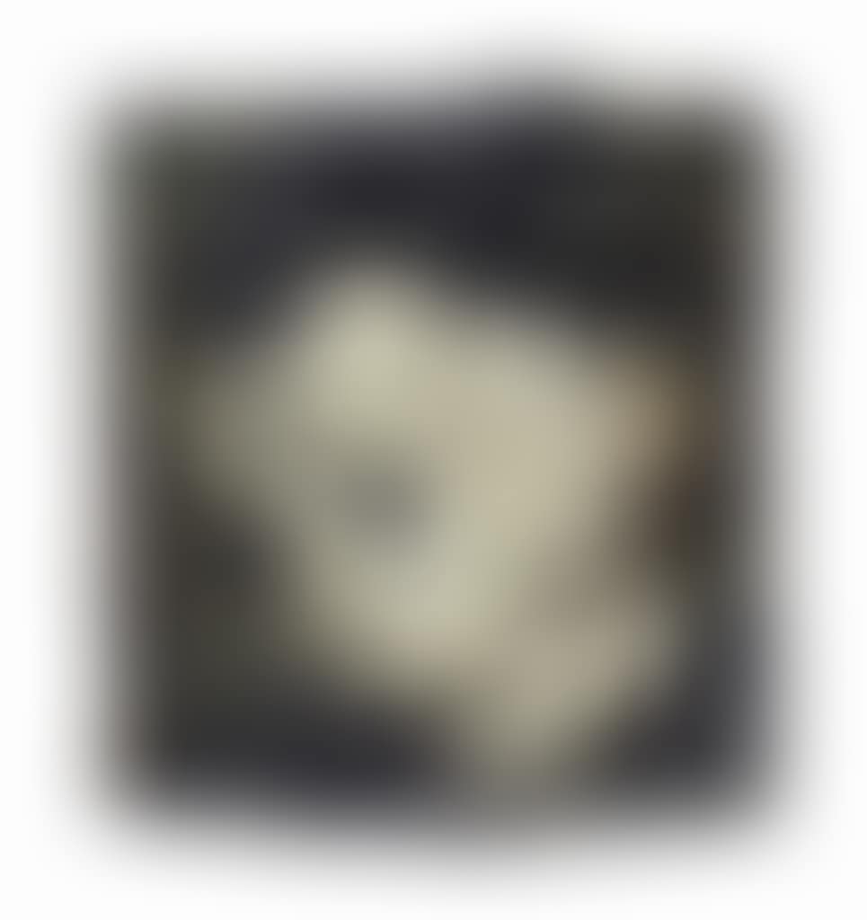 Head of Leon Kossoff (preview)