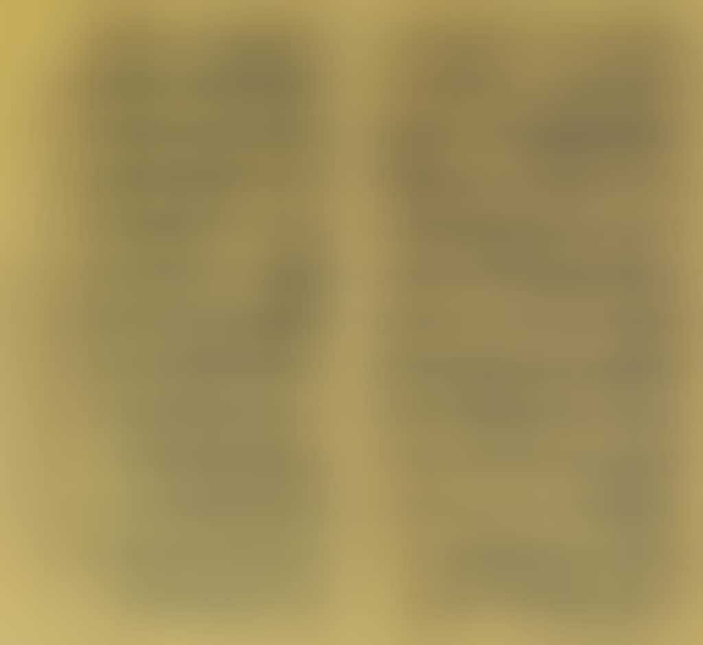 Calligraphy in Seal Script (preview)