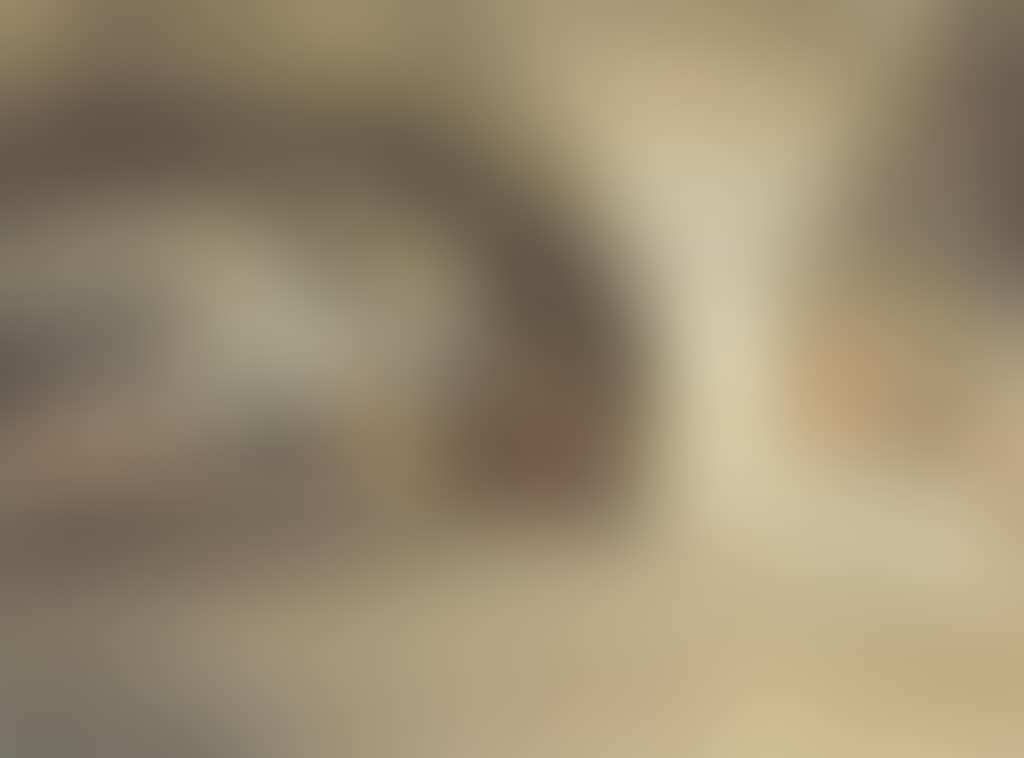 The Dubious Bernini (preview)