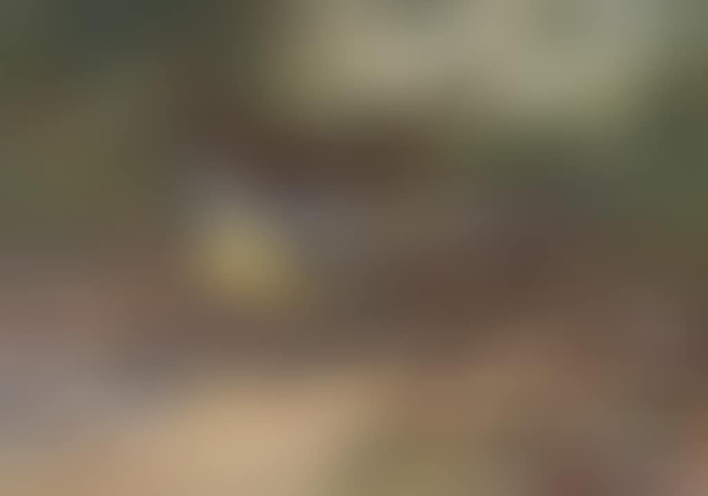 A grey wagtail (preview)