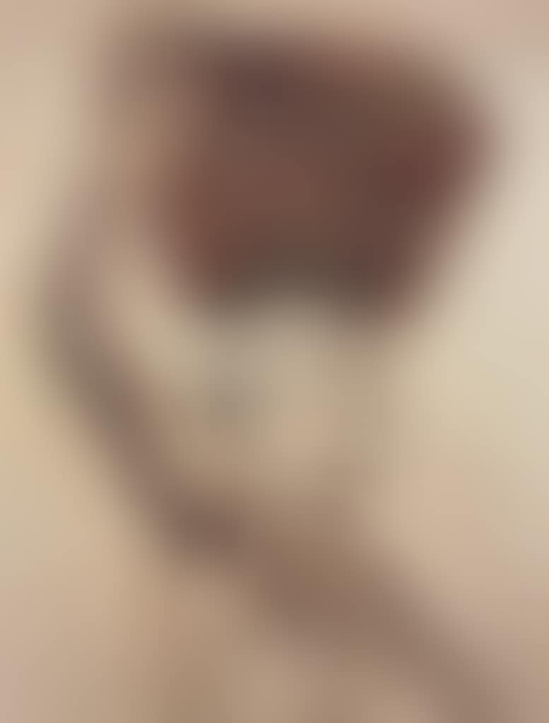 The Bearer (Irma), from Pictures of Garbage (preview)