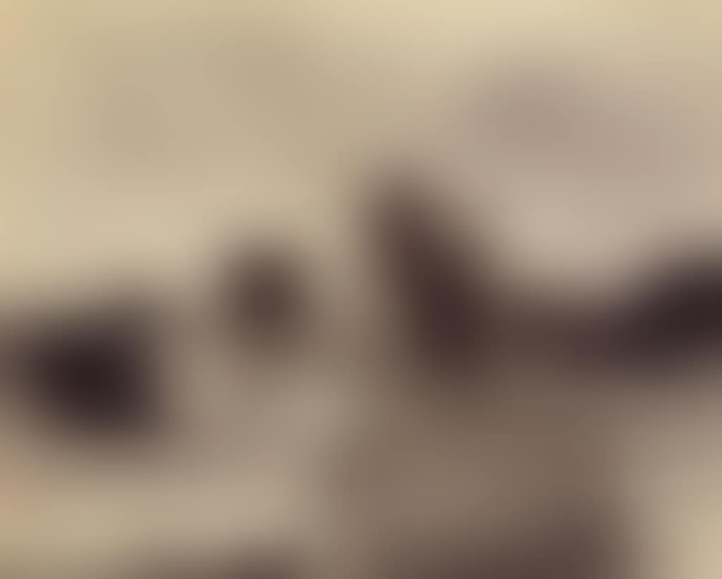 Versailles, Parc (preview)