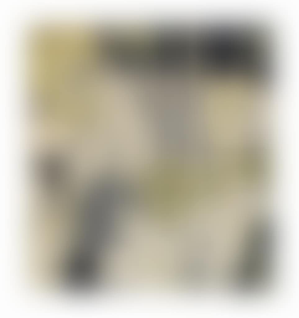 Fish and Chip Shop (preview)