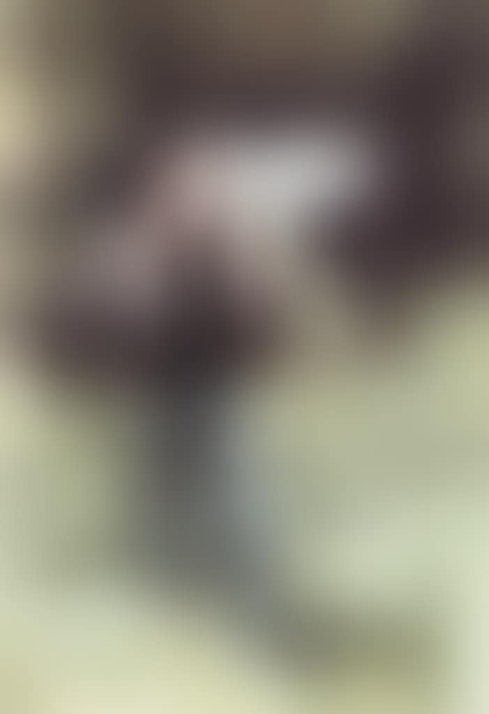 Self Portrait with Knickers (preview)